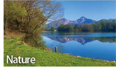 CAMPitオーナー募集①